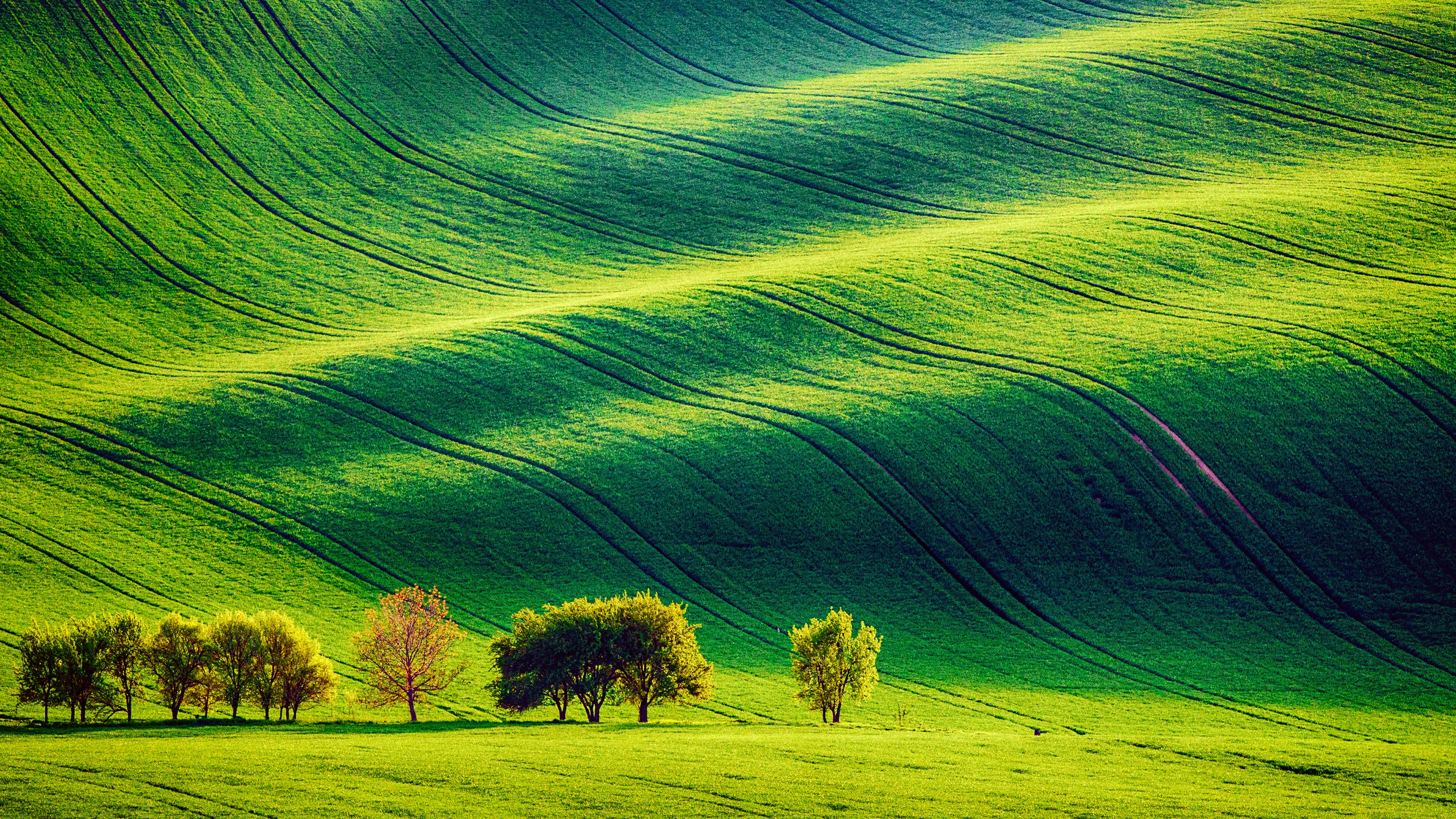 Arbeitshose (Herren)